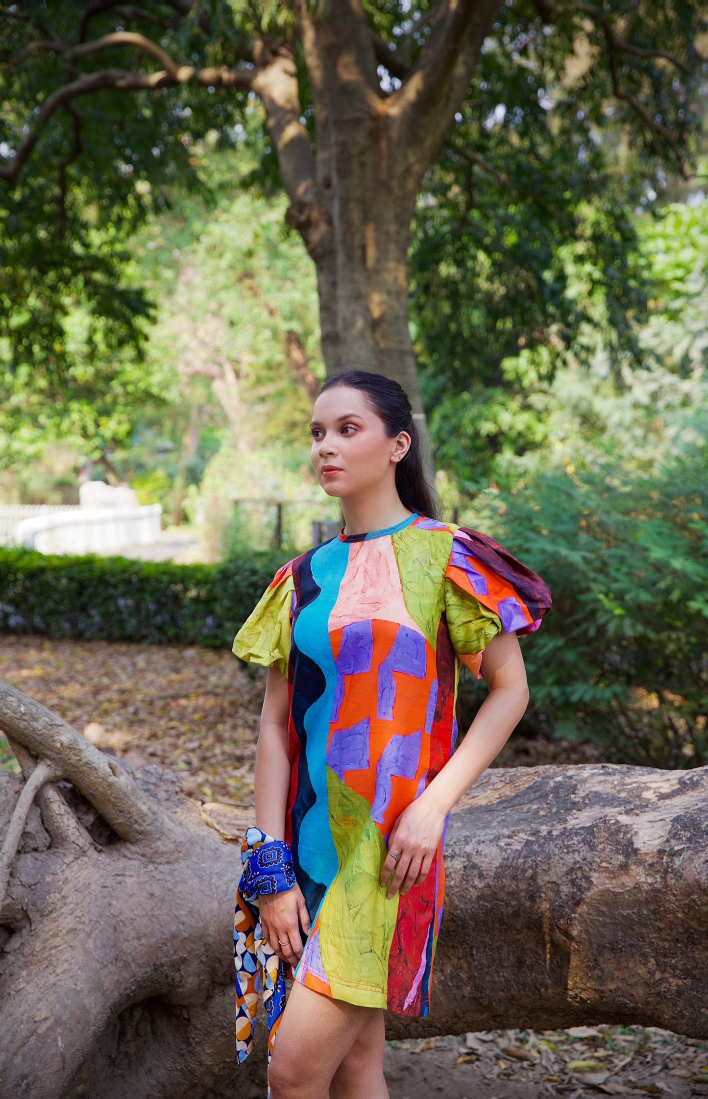 Muse Shift Dress
